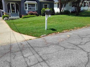 Eileen M.'s Lawn Care service result