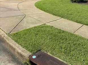 Sandra I.'s Yard Cutting service result