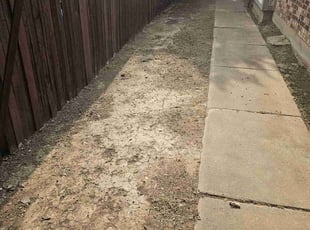 Leaf Removal by Gerome Randle for Alex W. in Arlington, TX