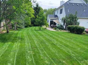 Kristen L.'s Lawn Care service result