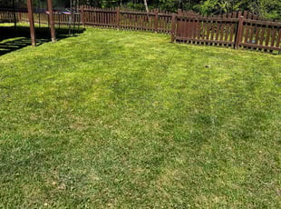Kathy Q.'s Lawn Service service result