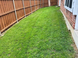 Benjamin P.'s Lawn Care service result