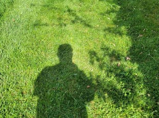 Leslie R.'s Grass Cutting service result