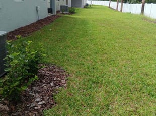 Terri S.'s Grass Cutting service result
