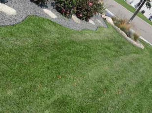 Antwan L.'s Lawn Service service result