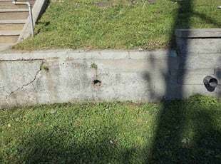 Janeen C.'s Lawn Mowing service result