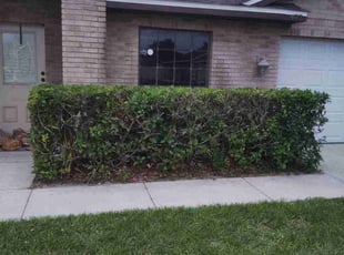 Bush Trimming by Isaac Laupola for Deanna W. in Deltona, FL