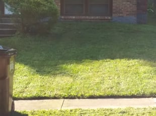 Bush Trimming by Terrance North for Ravyn A. in Cincinnati, OH