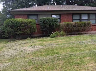 Bush Trimming by Dontai Jackson for Carlos A. in Louisville, KY