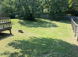 Craig C.'s Lawn Maintenance service result
