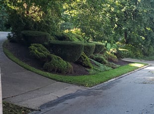 Bush Trimming by Brandon Morris for Rosalind J. in Pittsburgh, PA