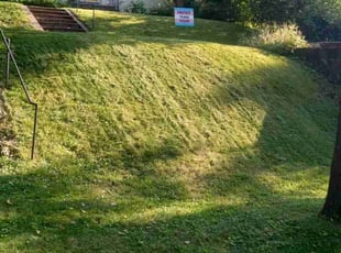 David D.'s Lawn Mowing service result