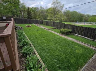 Tammy B.'s Lawn Mowing Service service result