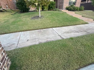 Jenny Z.'s Grass Cutting service result