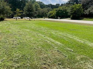 Leaf Removal by Deangelo Langford for Elizabeth O. in Stone Mountain, GA
