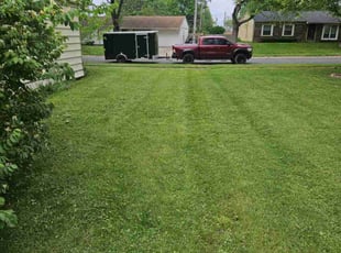 Mike b.'s Lawn Maintenance service result