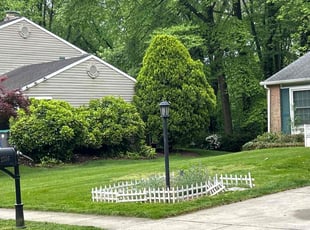 Laura L.'s Lawn Mowing service result
