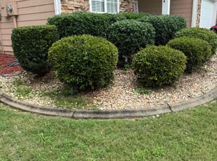 Bush Trimming by Jeremy Waller for Dennis T. in Kennesaw, GA