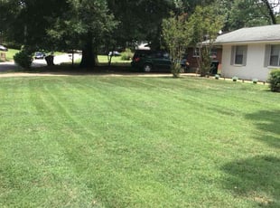 Alexander R.'s Grass Cutting service result