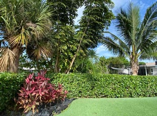 Loribeth M.'s Lawn Care service result