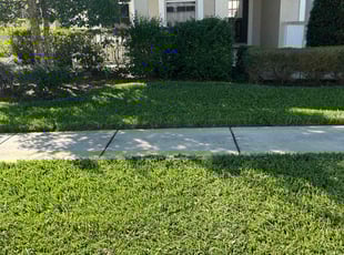 Mary Q.'s Lawn Service service result