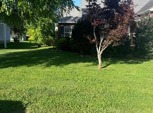 Crystal H.'s Lawn Mowing service result