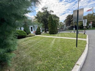 Willietta H.'s Lawn Maintenance service result