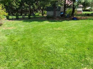 Jarrid C.'s Lawn Service service result
