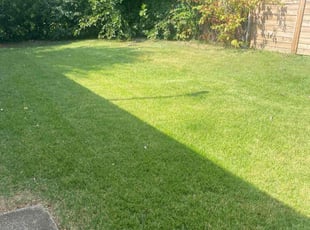 Lucy V.'s Lawn Service service result