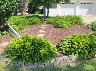 Weeding by Jose Perea for Henry H. in Milwaukee, WI