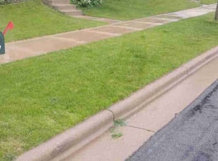 Bush Trimming by Christopher Rhyne for Sarjoo P. in Verona, WI