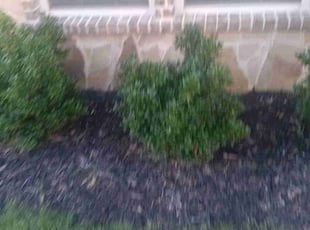 Weeding by Thomas Mammen for CHRISTINA M. in Fort Worth, TX