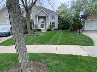 Susan W.'s Lawn Service service result