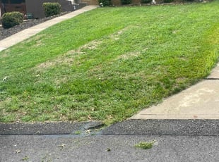 Sonja H.'s Grass Cutting service result