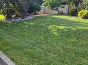 Angela S.'s Lawn Service service result