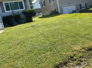 Kyle T.'s Lawn Care service result