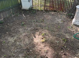 Leaf Removal by Marlyn Jones for Maxamillion O. in Belleville, IL