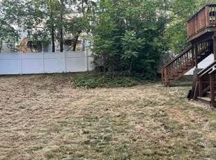 Cleanups by Chelsie Librun for Florette W. in Worcester, MA