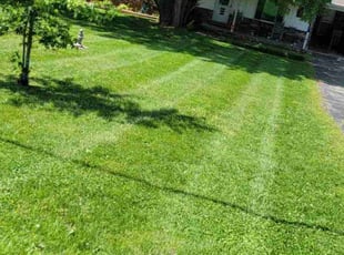 Susan M.'s Lawn Mowing service result