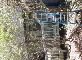 Bush Trimming by Shedrick Corbin for Linn S. in Snellville, GA