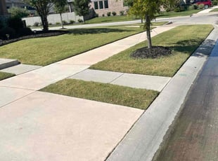 Carla P.'s Lawn Mowing service result