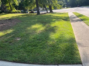 Francis C.'s Lawn Service service result