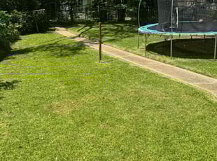 rebecca B.'s Lawn Service service result
