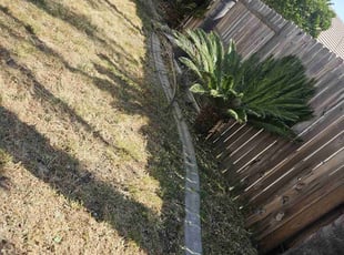 Cleanups by Juan Rodriguez for Decova L. in Sacramento, CA