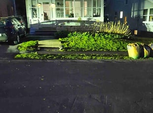 Bush Trimming by Angeton Mouity for James H. in Syracuse, NY