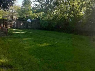 Bright Star P.'s Grass Cutting service result