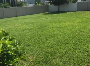 Paul P.'s Lawn Mowing Service service result