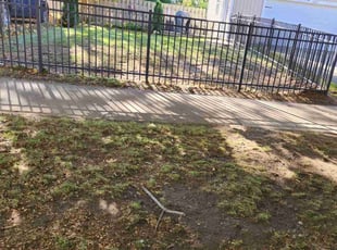 Leaf Removal by Jacob Jumper for Alyssa R. in Grand Rapids, MI