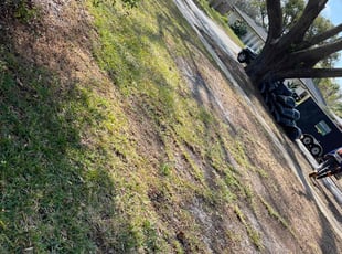 Leaf Removal by Ramon Gonzalez for Guillamo S. in Orlando, FL
