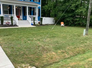 Bush Trimming by Rondell Carter for Matt F. in Chesapeake, VA